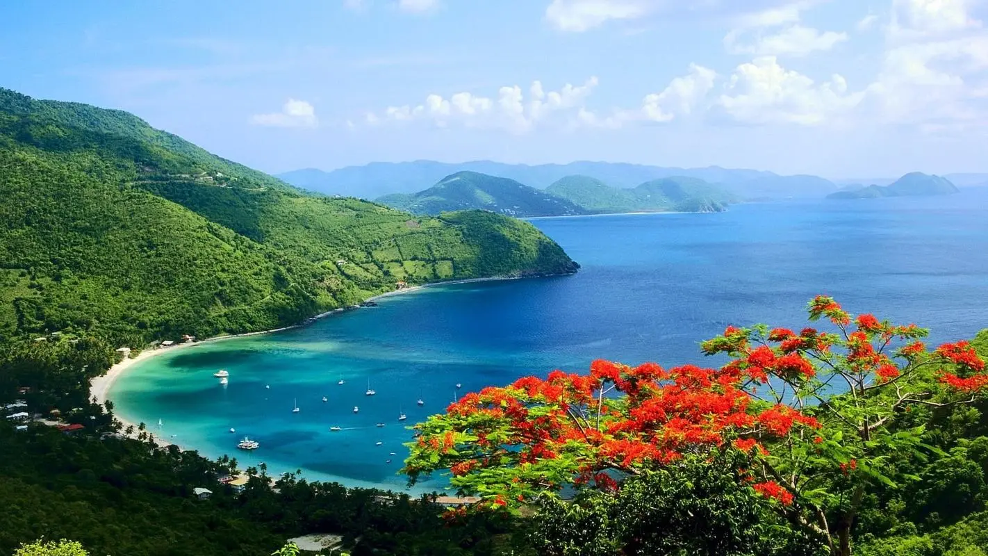 创意高标准高性能